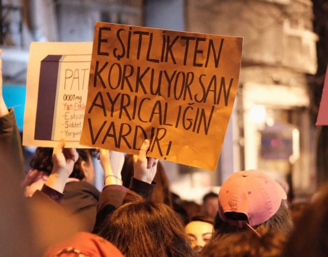 ⋆.˚✮sofia✮˚.⋆🎗️ tweet media