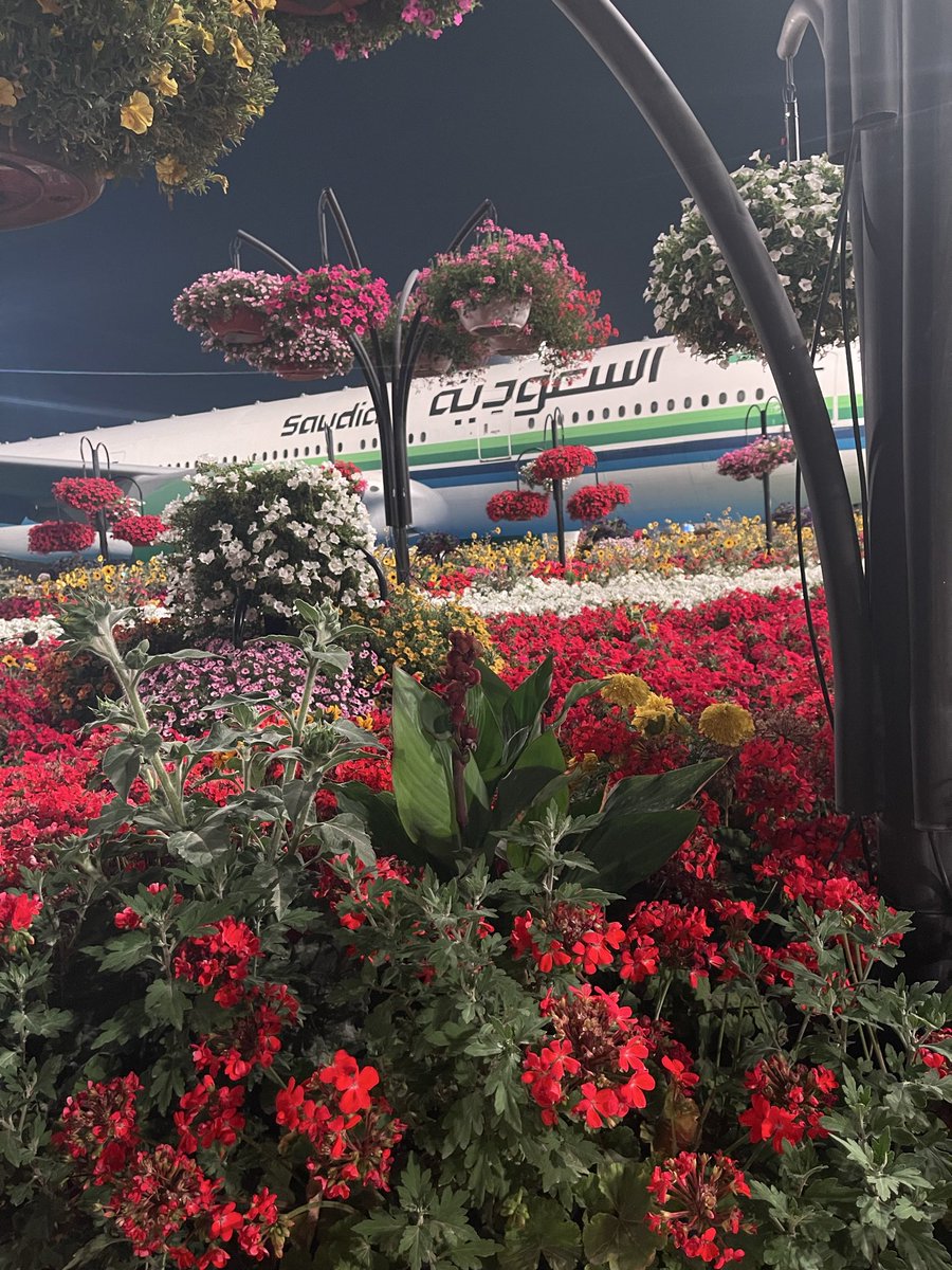 😍
#السعودية
