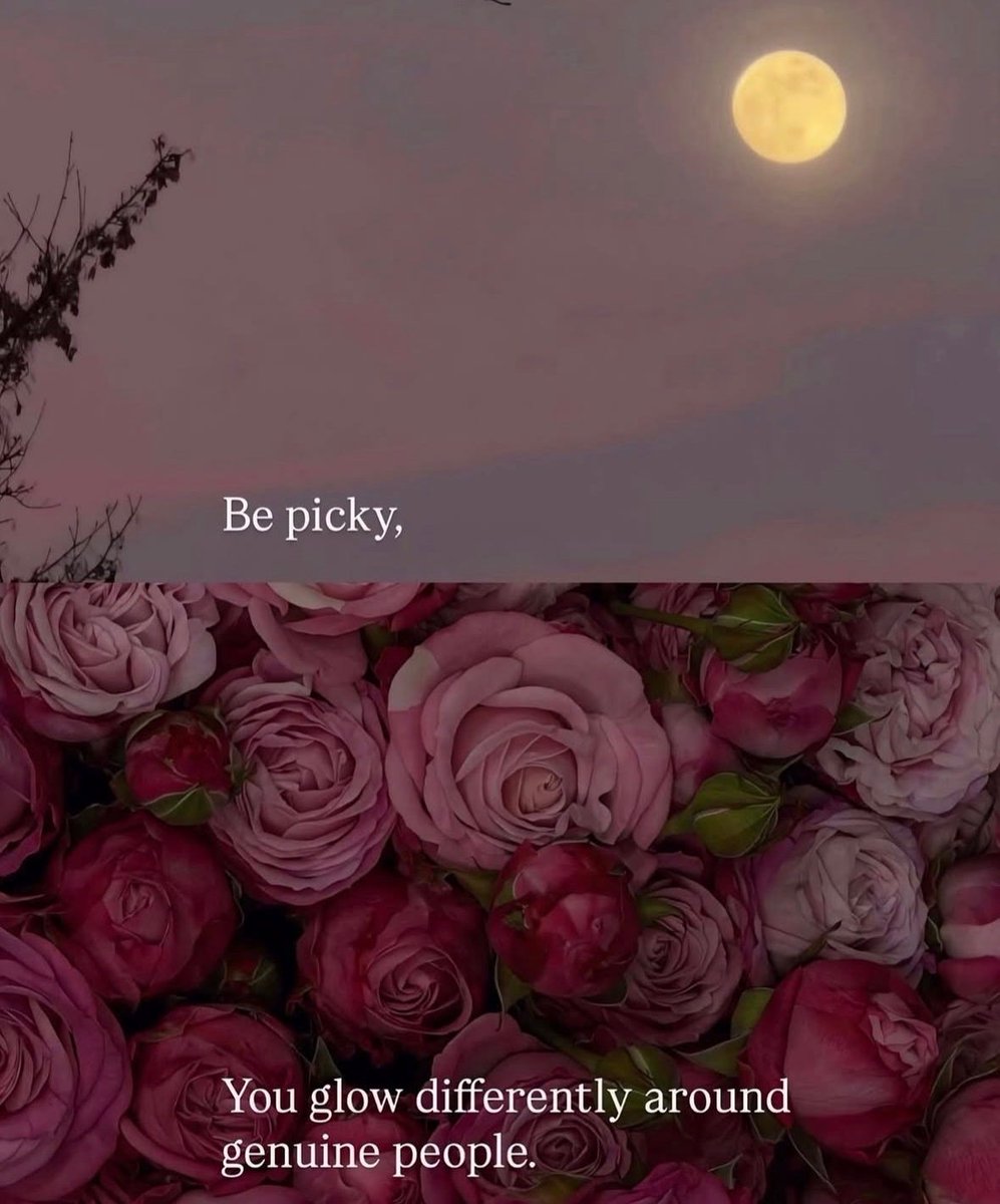 Amor Fati tweet media