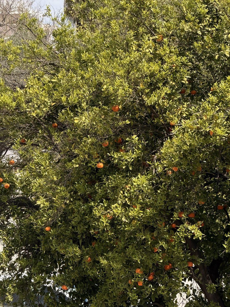 e. (@kunan7_) on Twitter photo 