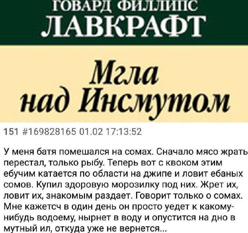 meows 🃏 tweet media