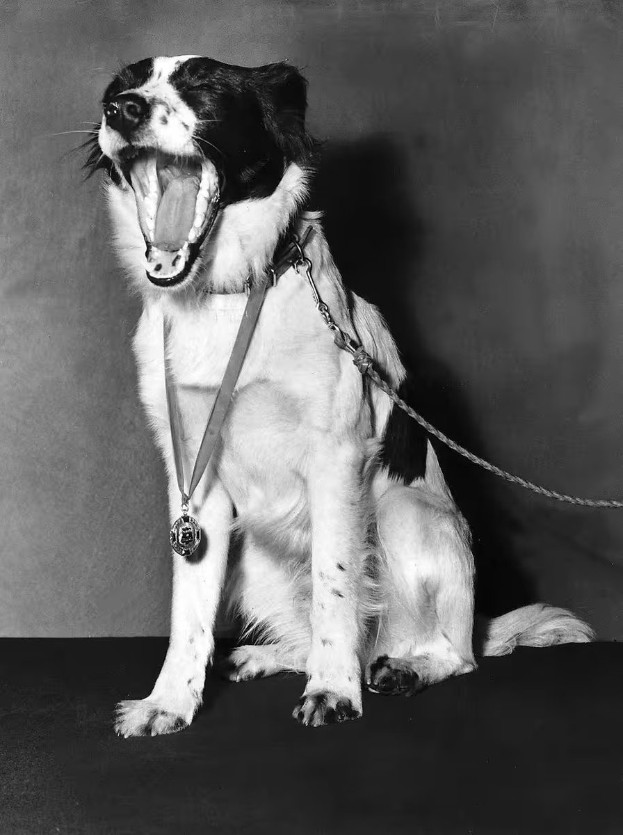 FootballRetroPlus tweet media