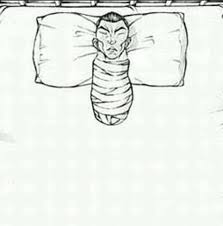 Cheems esperando las elecciones del 2023 tweet media