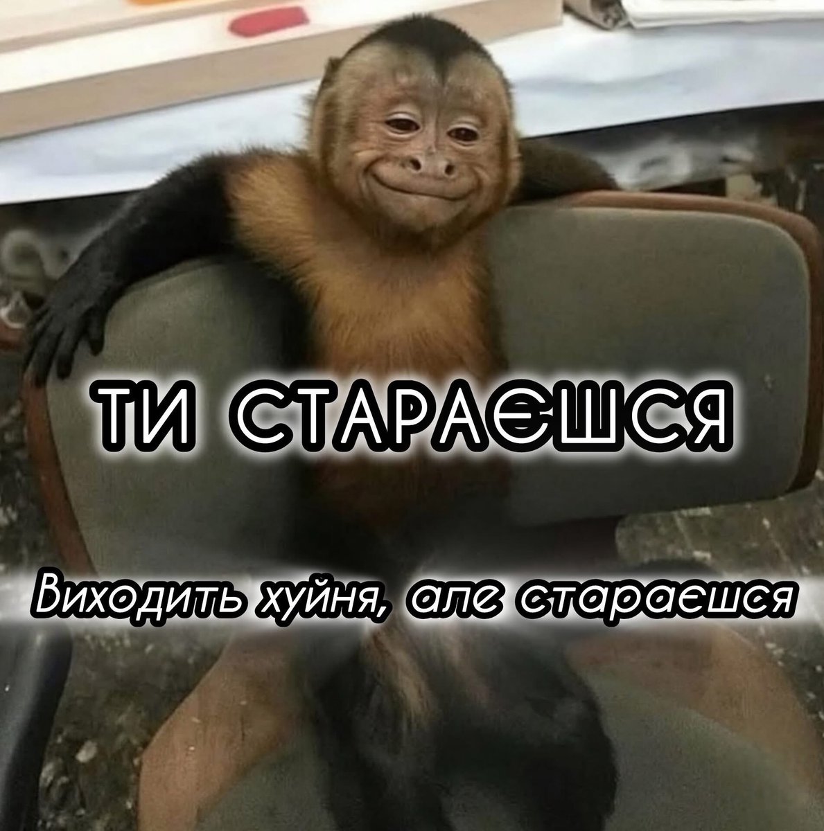 пан крейзі (@pan_crazy_69) on Twitter photo 