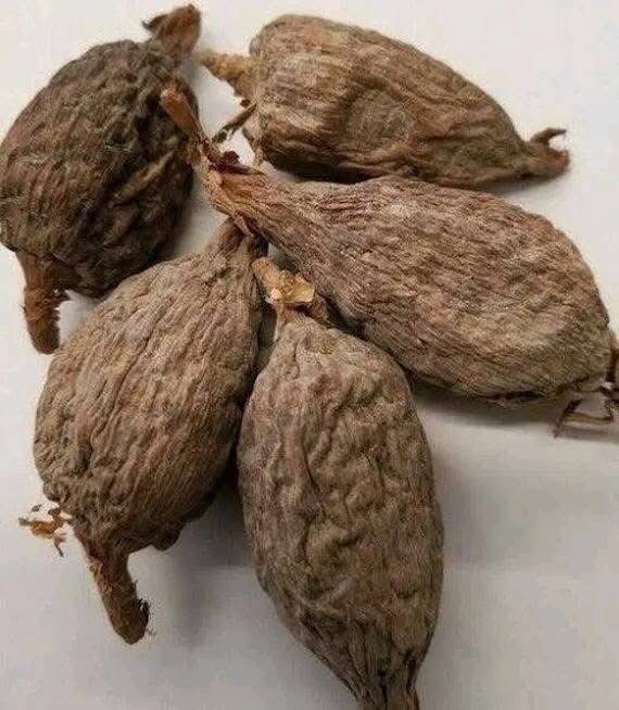 O.R.A.C.L.E 🪬🕊️ tweet media