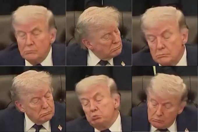 Tara Dublin, Rock Star Author & Political Savant tweet media