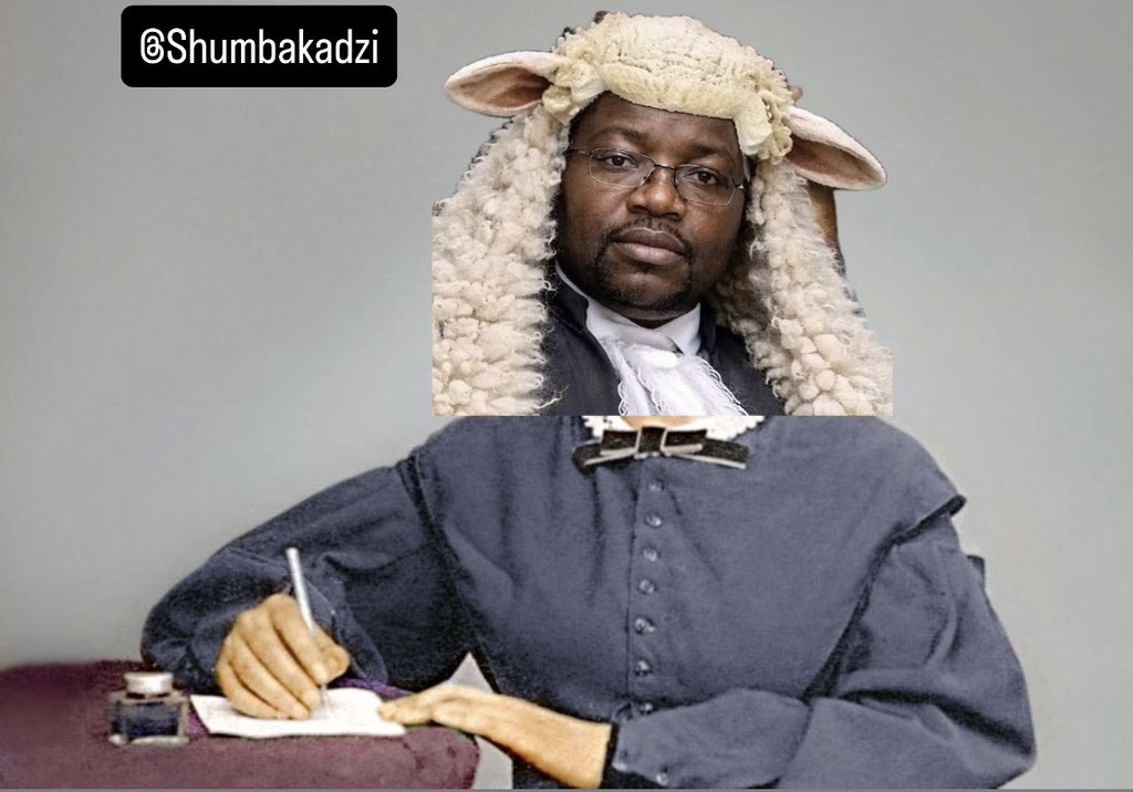 Shumbakadzi👑 tweet media