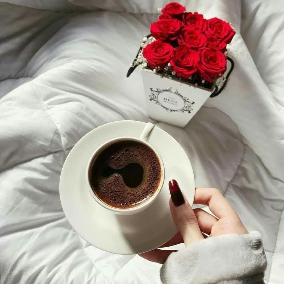 جــJano ــانـــو🦋🎻 tweet media