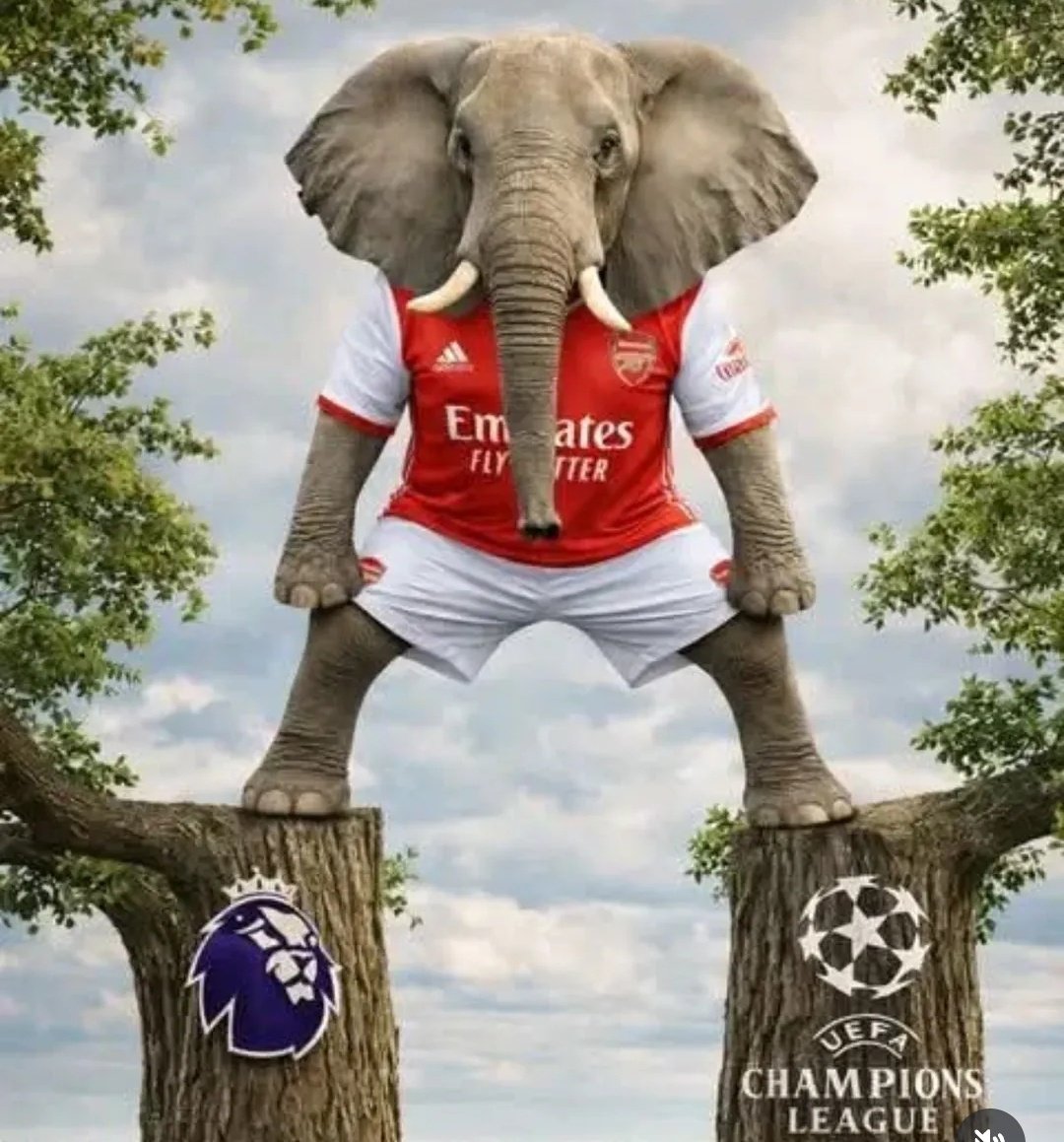 Psalmy41 tweet media