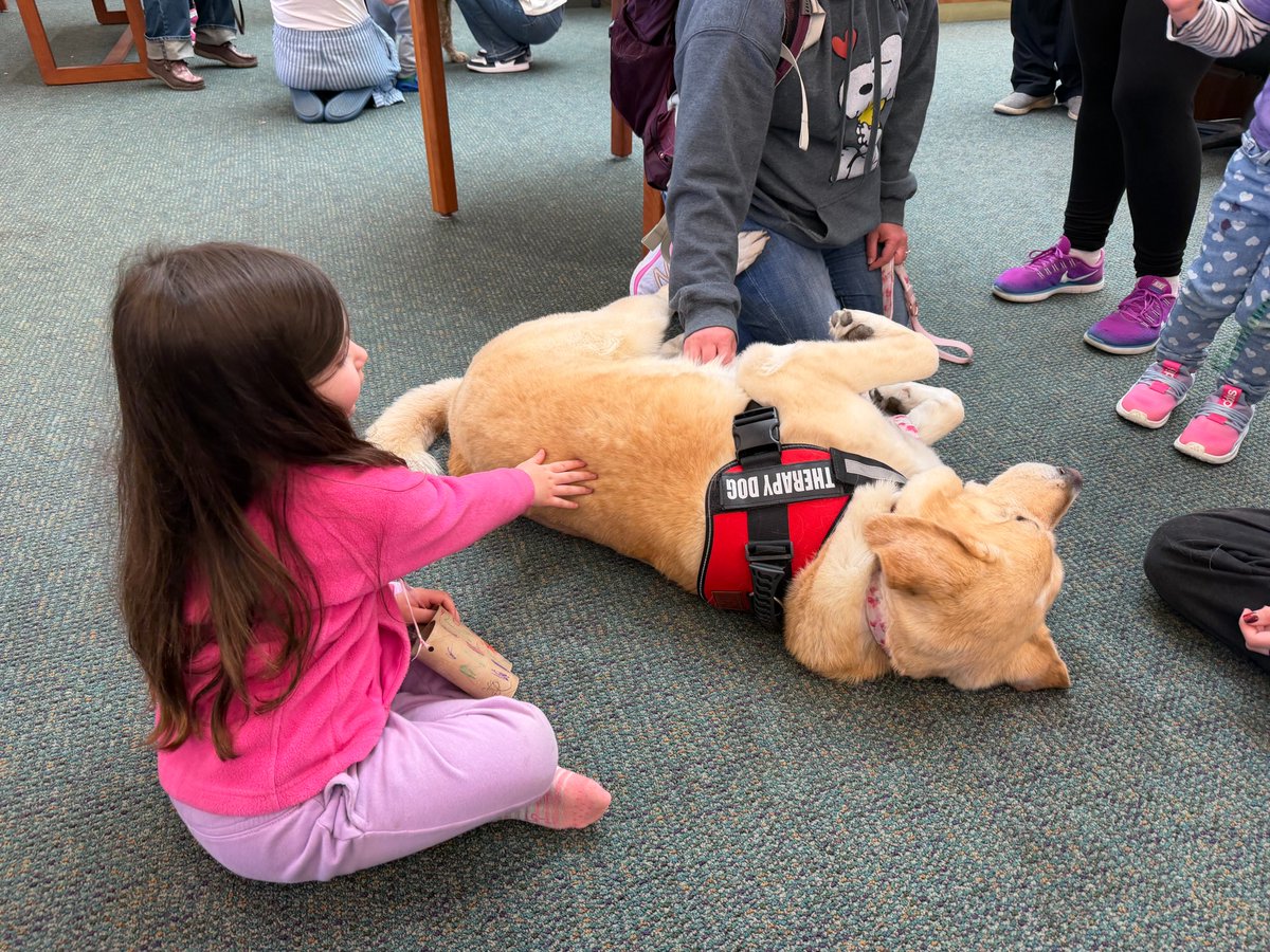 Fairchild AFB Library tweet media