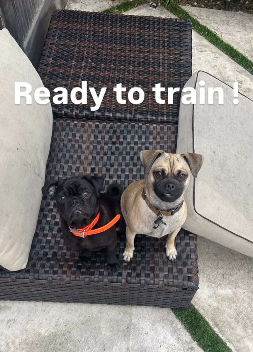 ♫ ⎕ ♡︎ tweet media