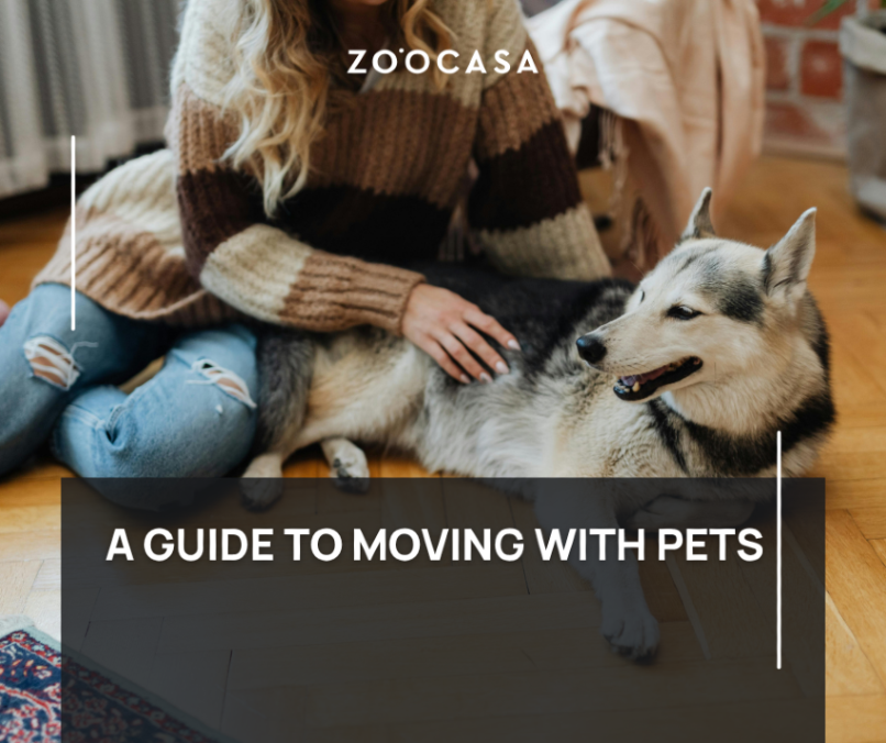 zoocasa's tweet photo. 🐾 Moving with pets? It can be stressful—but it doesn’t have to be

Learn simple tips to keep your dog or cat calm and safe during your move 🏡

👇 Click for an easy pet moving guide
https://t.co/ojkGdWTouA https://t.co/SgTijul29Y