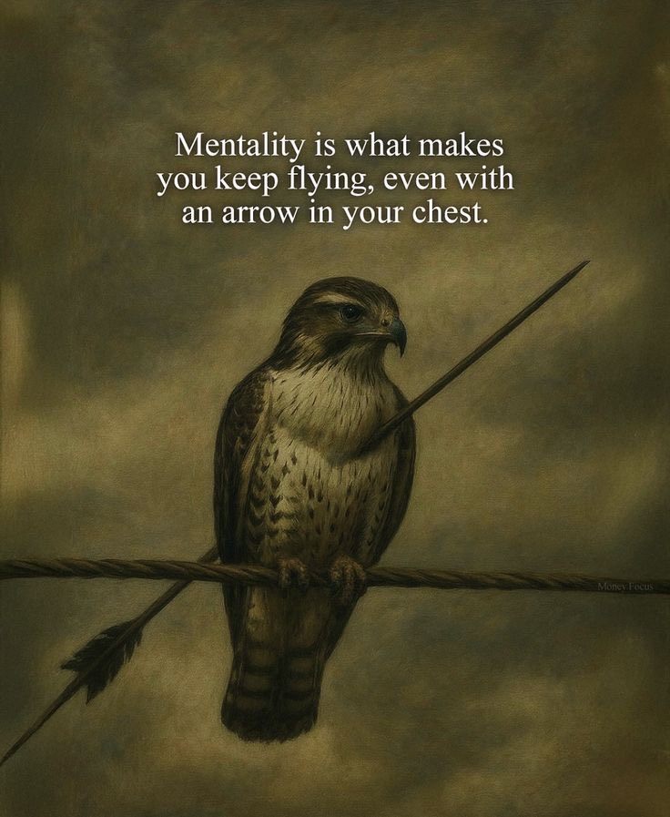 nayaabkaatib15's tweet image. #Motivation #Mindset #Success #positivity #courage