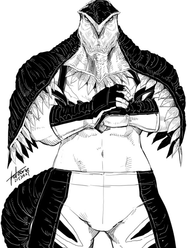 Stroheim🇦🇹🇩🇪 tweet media