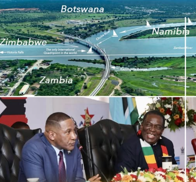 African Hub tweet media