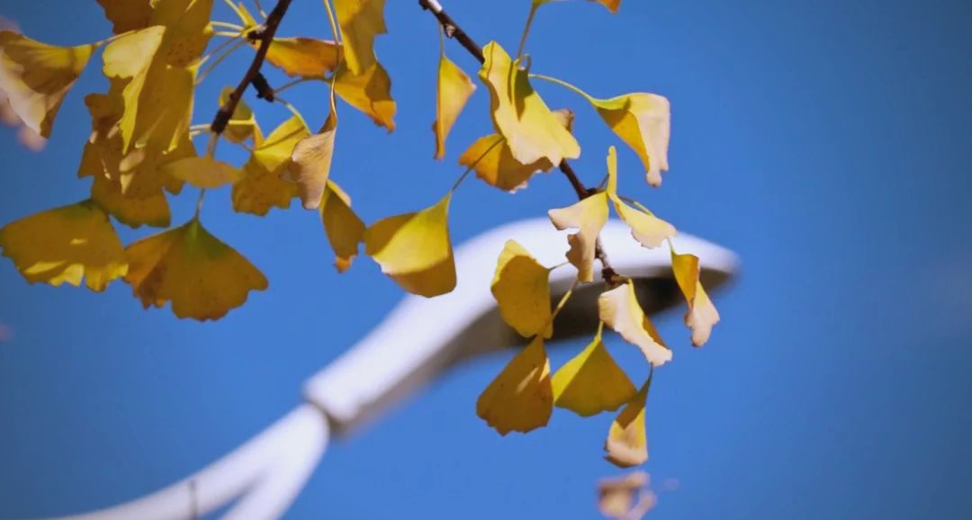 Yes Really tweet media