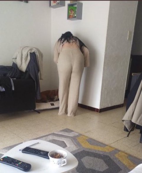 vincounet tweet media