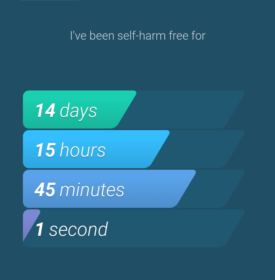 .hayley ⊬ tweet media