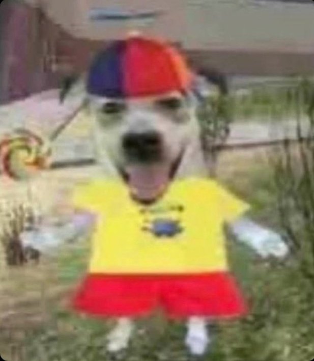 Watching people my age succeed in life meanwhile im just a disaster with no job or education or car or license or adult experiences living in her childhood bedroom