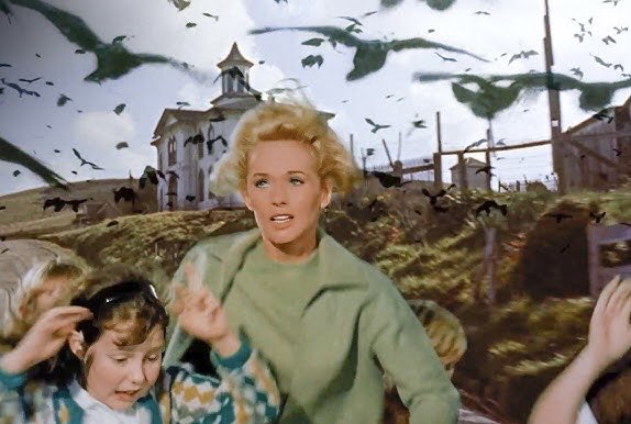 It’s all by Design tweet media