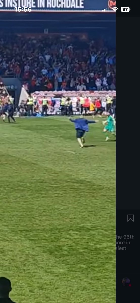 morganzwynne tweet media