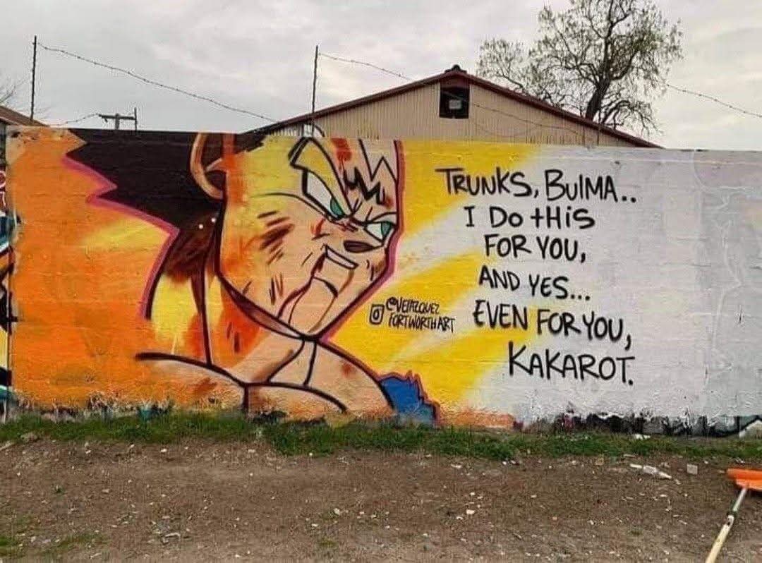 Marjin Vegeta Art ✨