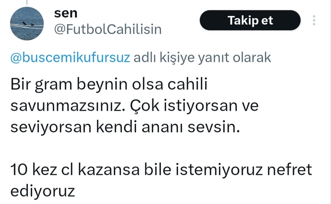 buscemiküfürsüz tweet media