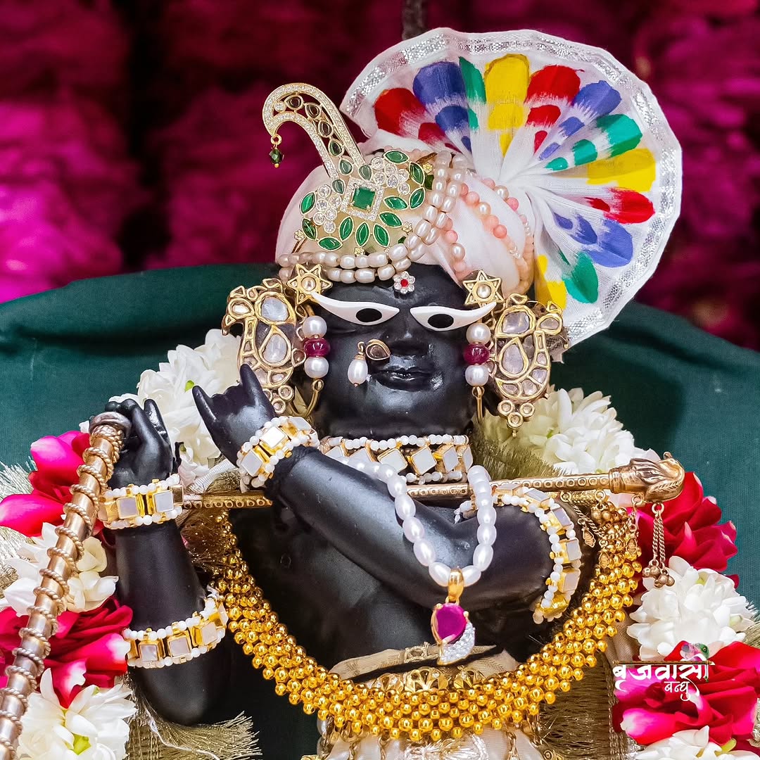 Radhika Ras 🪷 tweet media