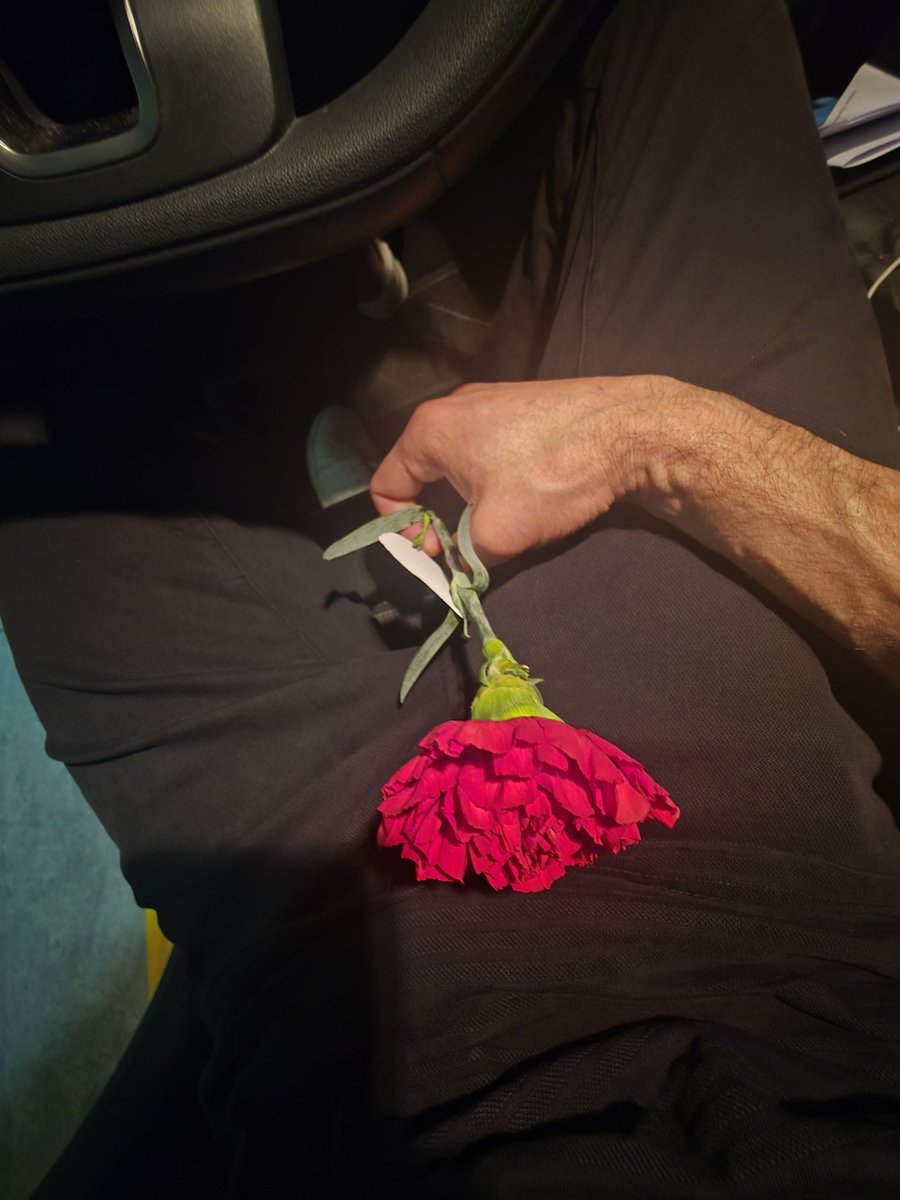 Quem quer o meu cravo?