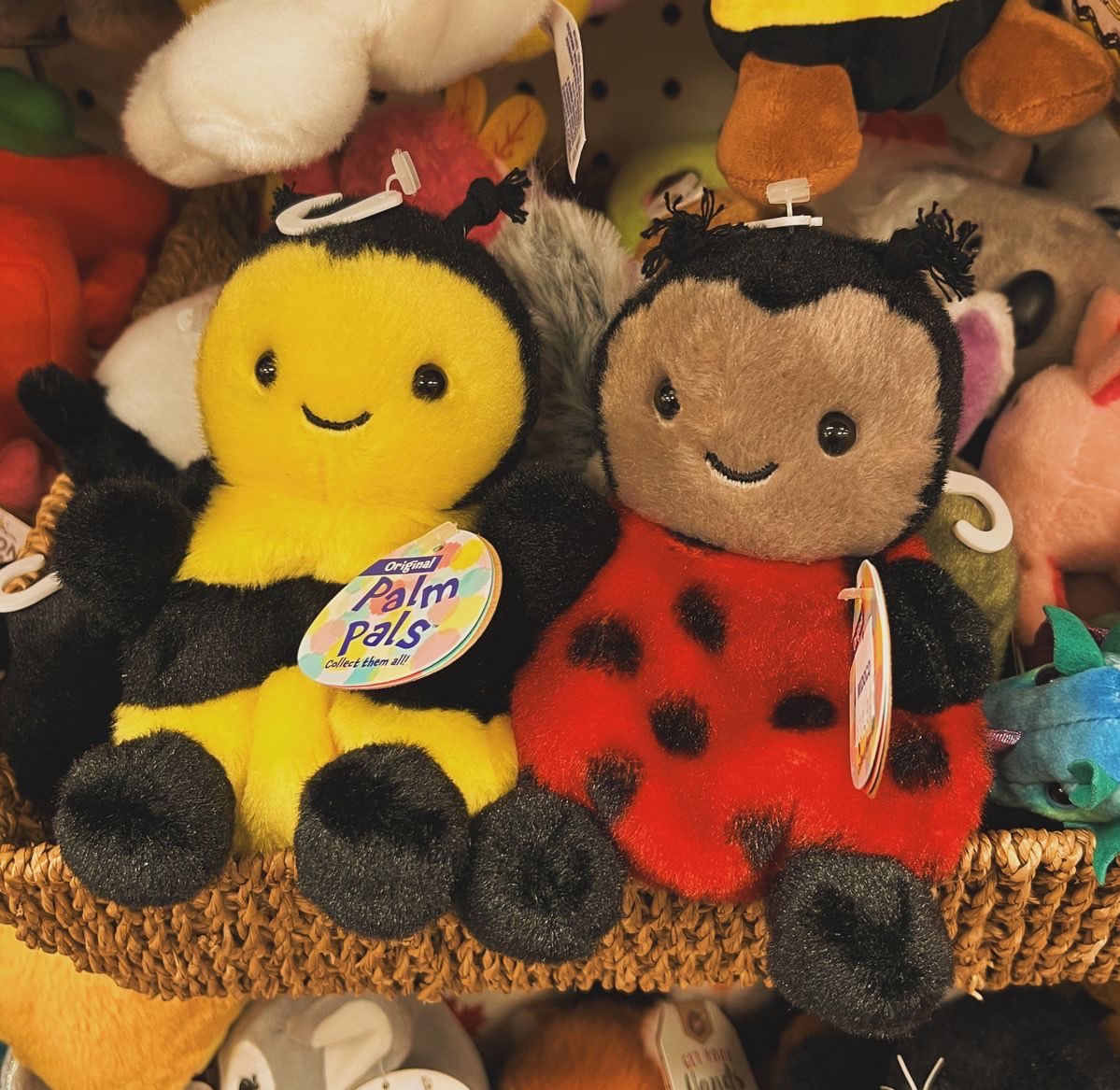 pat🪽🐞 tweet media