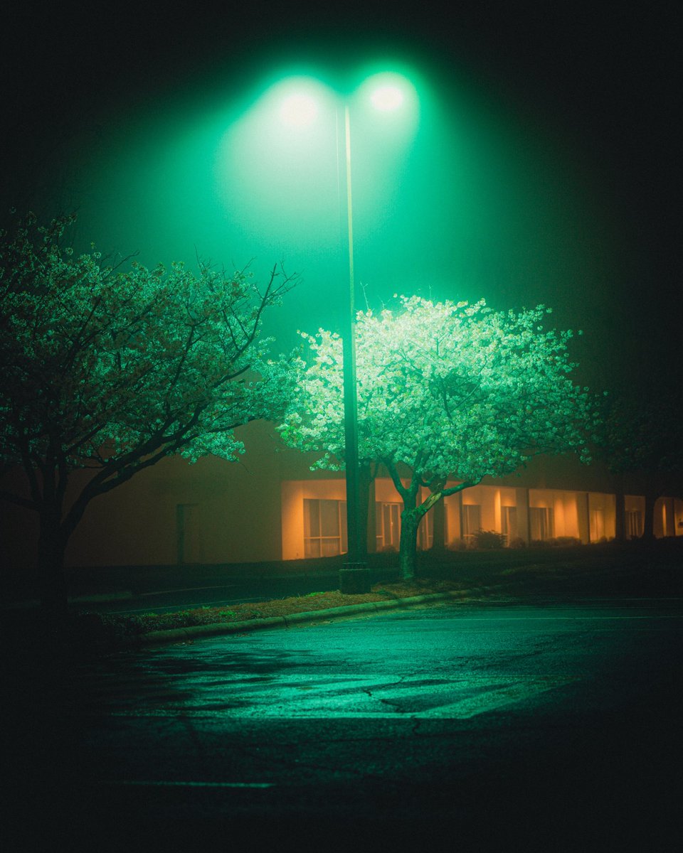 Christopher Mccurdy tweet media