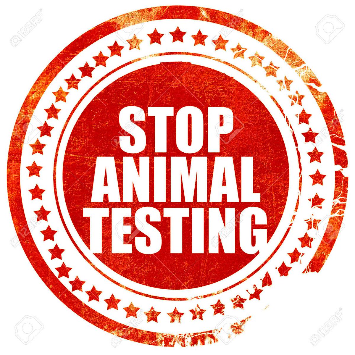 ludo_54_'s tweet image. stop met testen te doen op dieren 👊
#GAIA #stopdierenproeven 
Stop testing on animals 👊
#stopanimaltesting #gaia 
Delen mag 👀