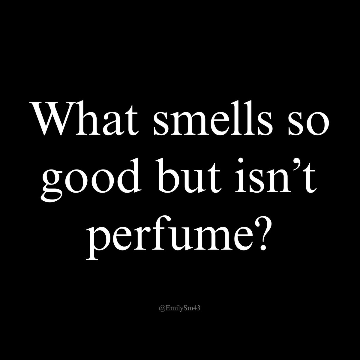 Emily 🦋 tweet media