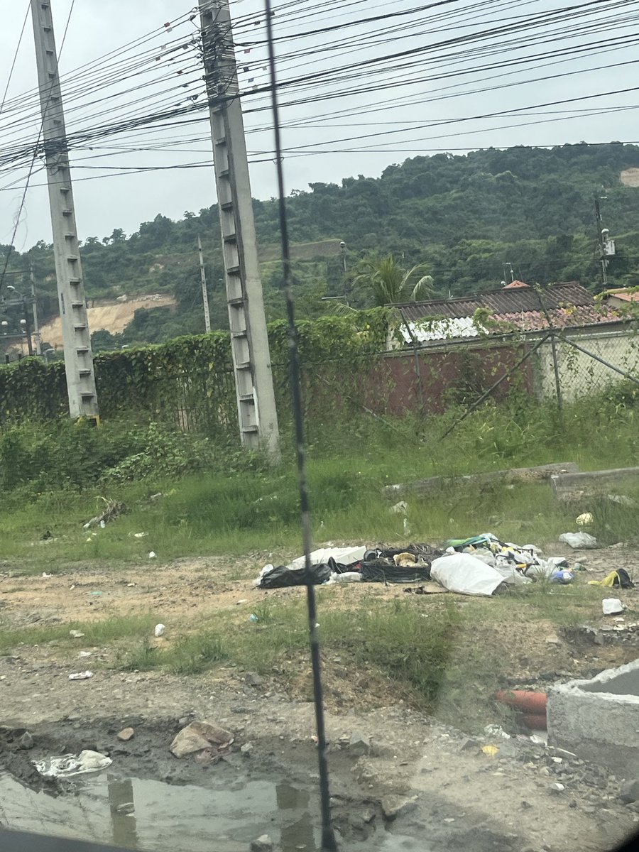 Rossy Tumbaco tweet media