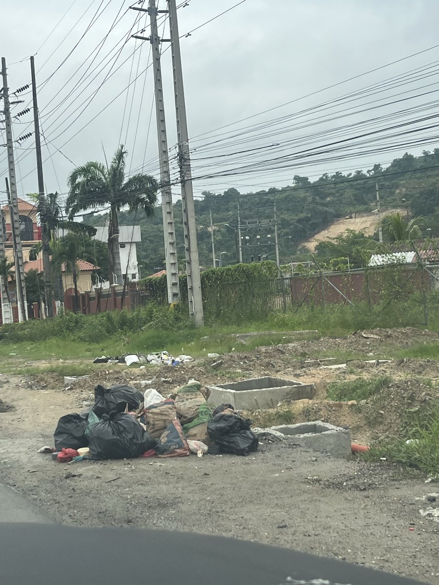 Rossy Tumbaco tweet media