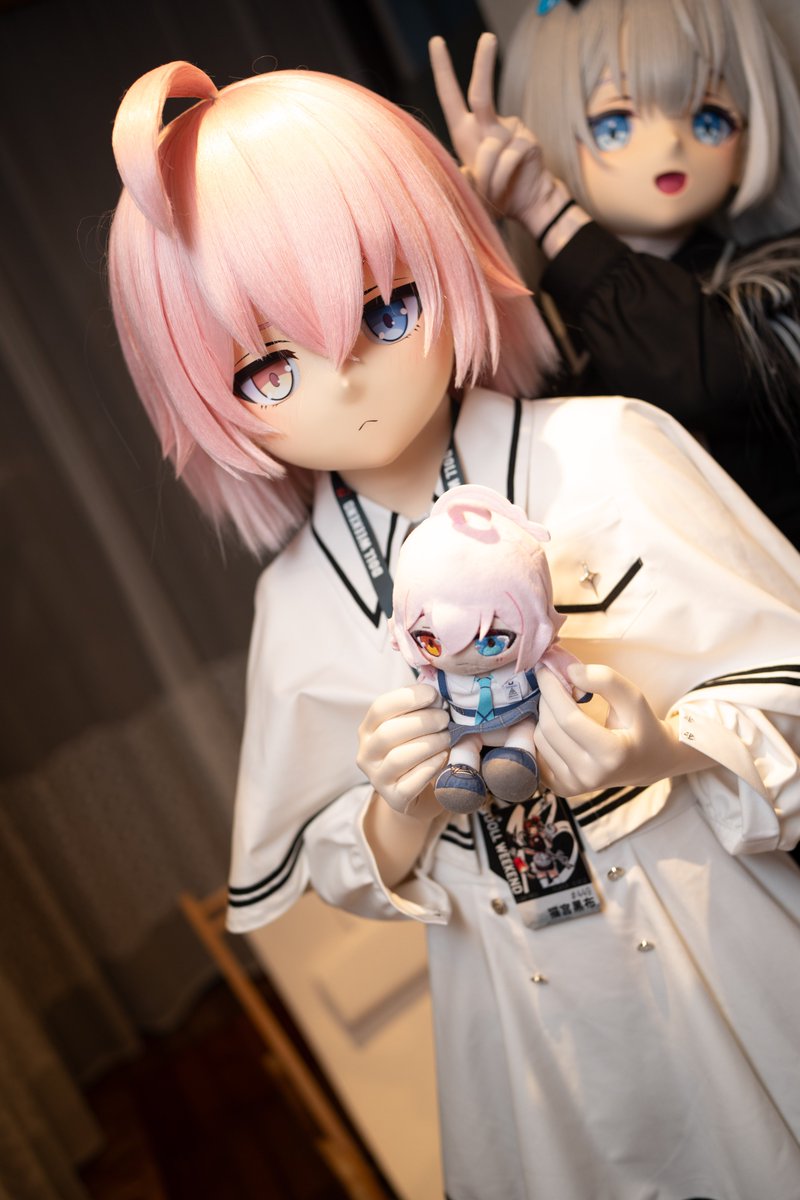 猫宫黑布 tweet media