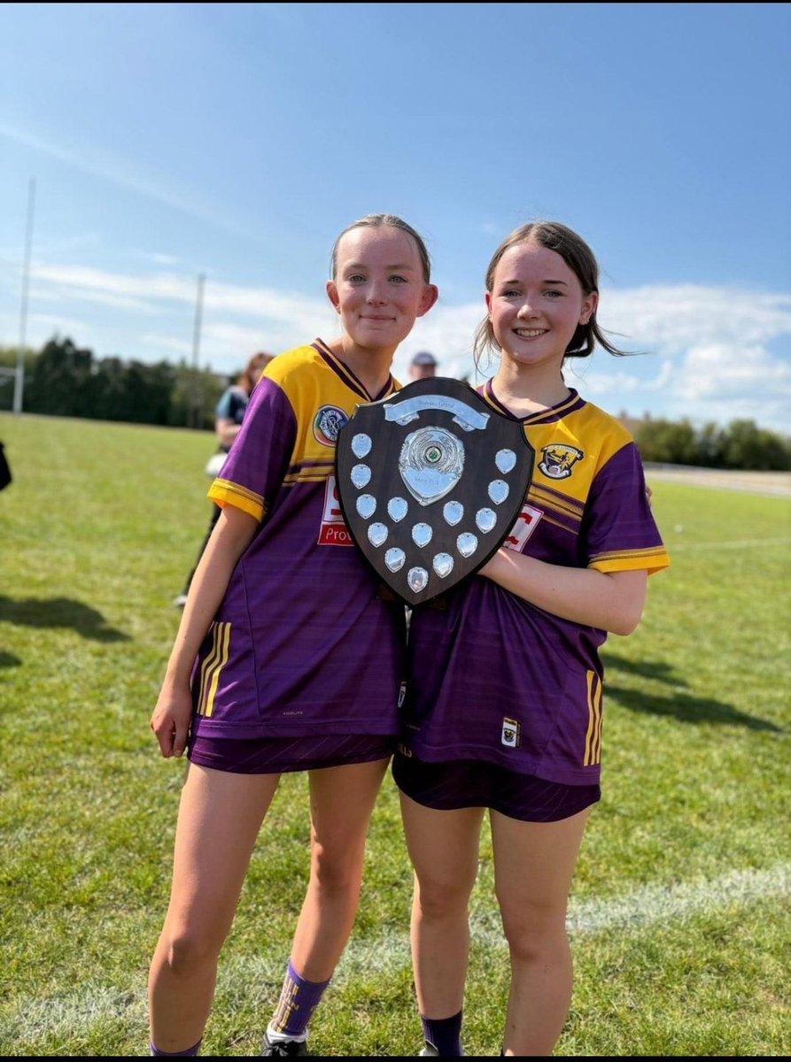 Kilrush Camogie Club tweet media