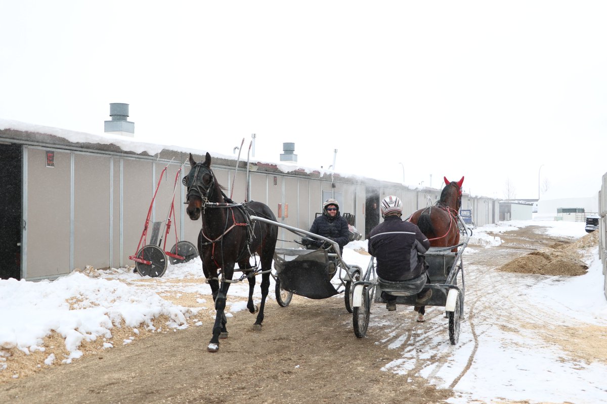 Century Downs tweet media