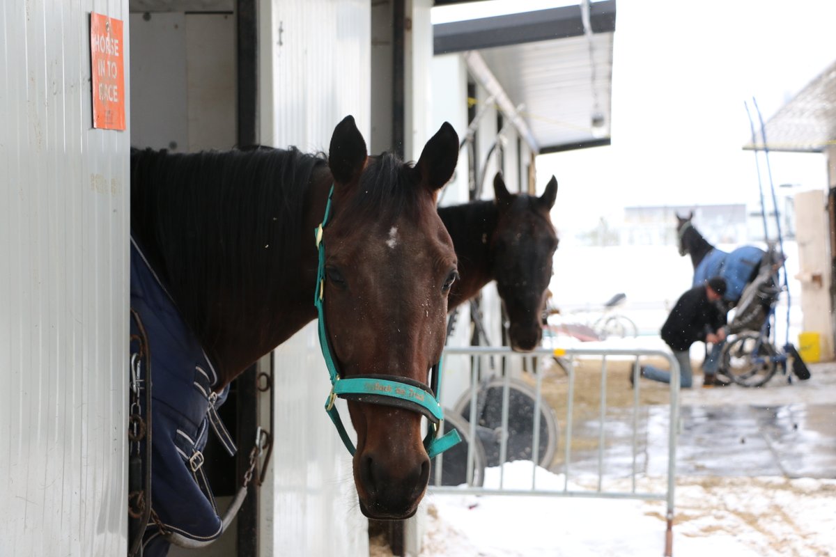 Century Downs tweet media