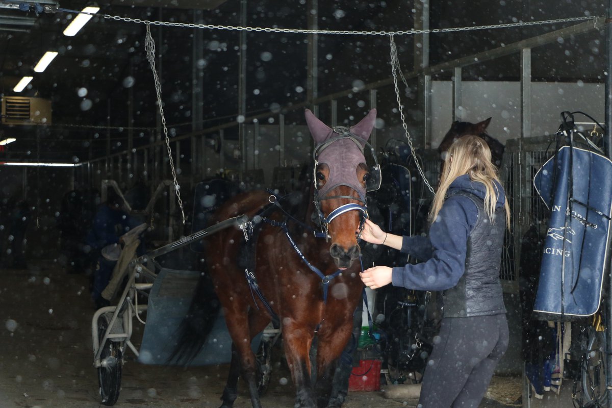 Century Downs tweet media