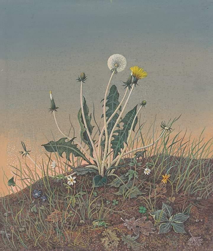 Brindille_'s tweet photo. Dandelion, 1990
🎨© Günther Blau (German, 1922-2007) https://t.co/4jlSepwQeA