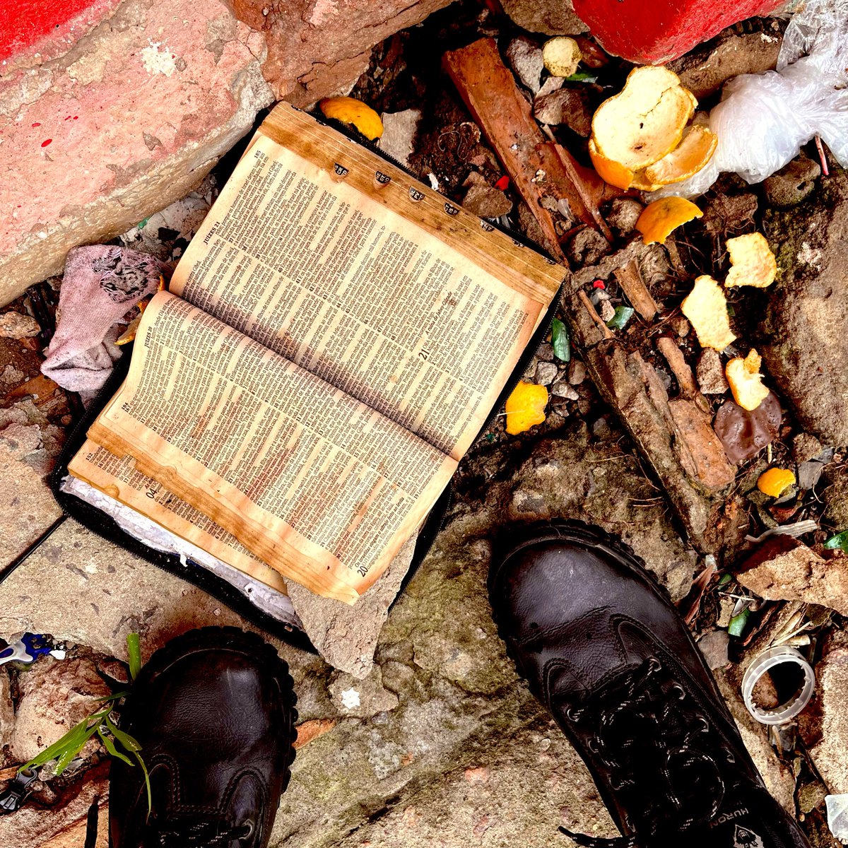 Cortador de Clipes tweet media