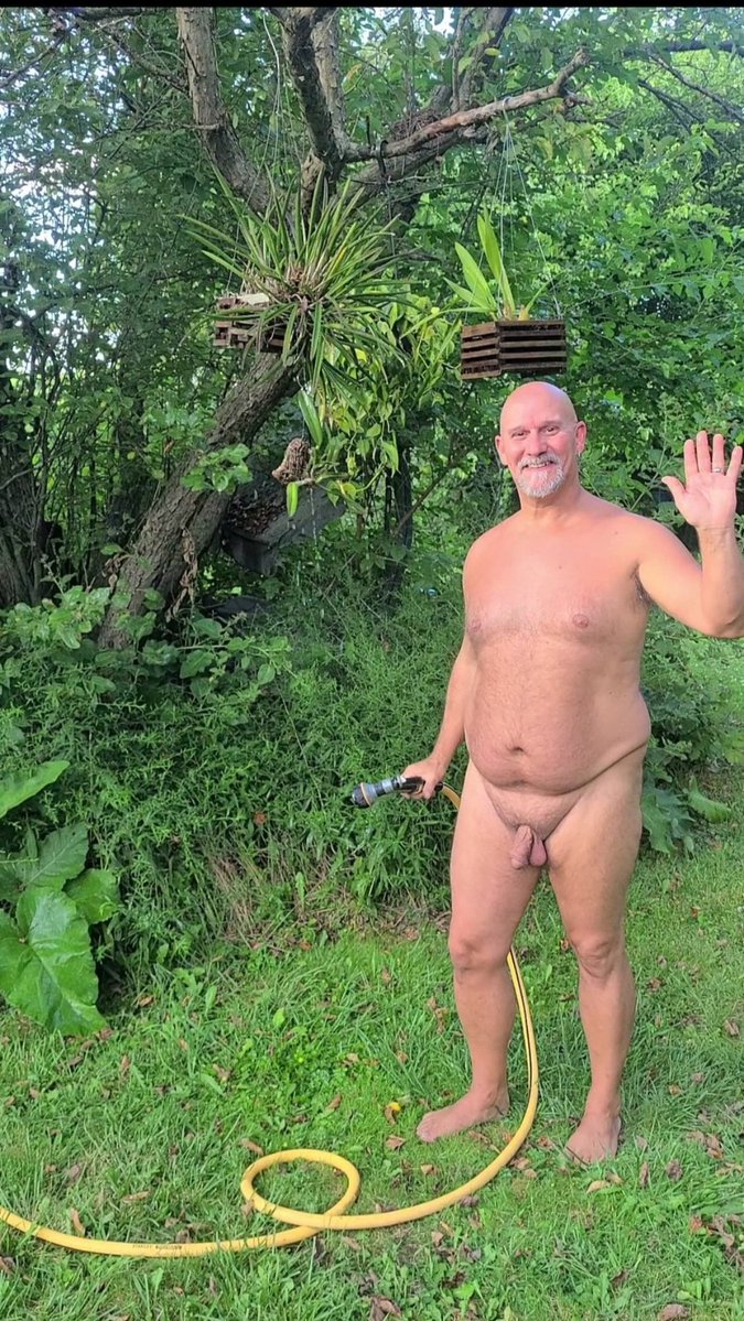 Bare Foxes tweet media