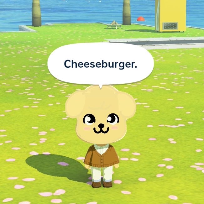 ꒰ა angel bunny ໒꒱ tweet media