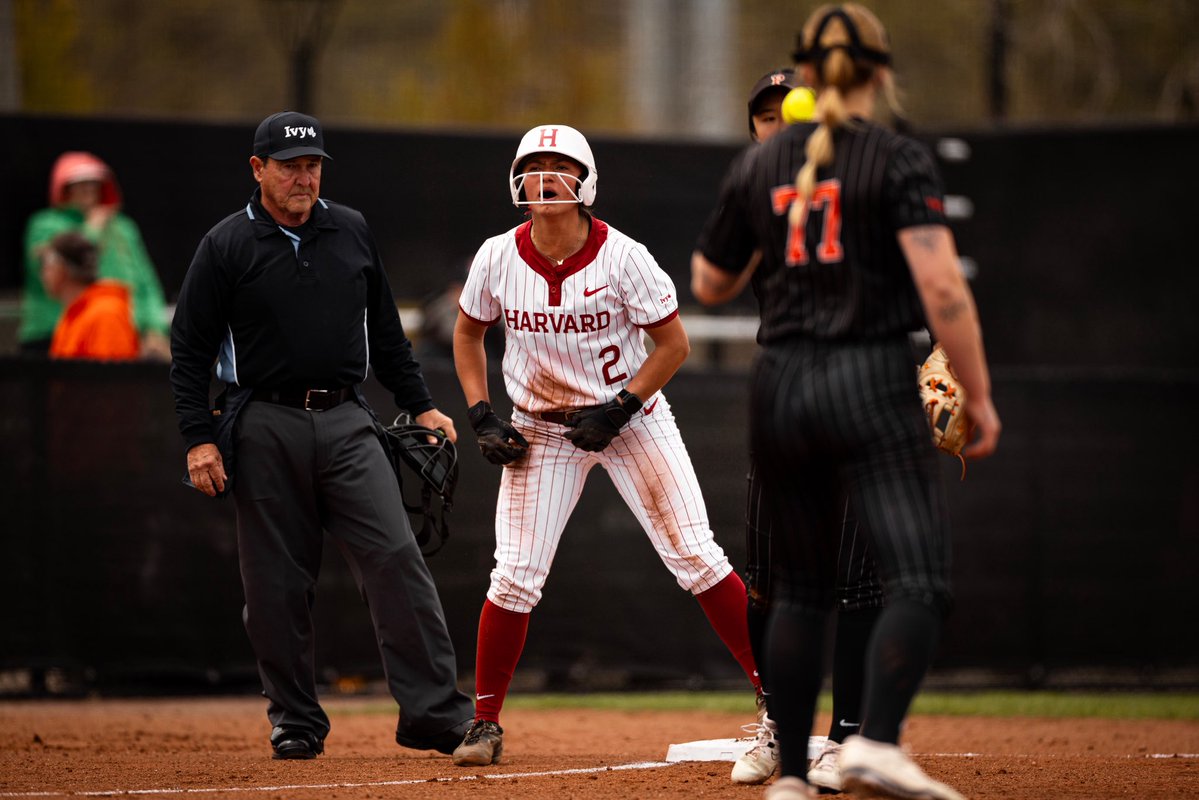 Harvard Softball tweet media