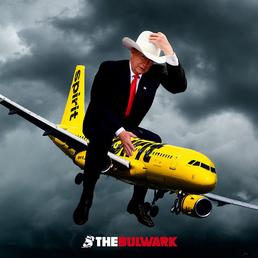 James Tate tweet media