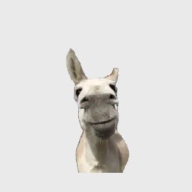 أبوعبدالعزيز 🇸🇦 tweet media