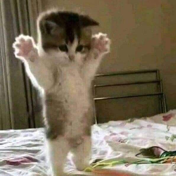 nalgae..🪽💕 tweet media