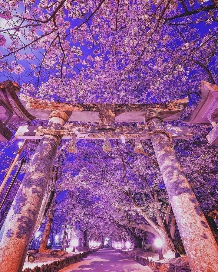 Beauty of Nature. tweet media