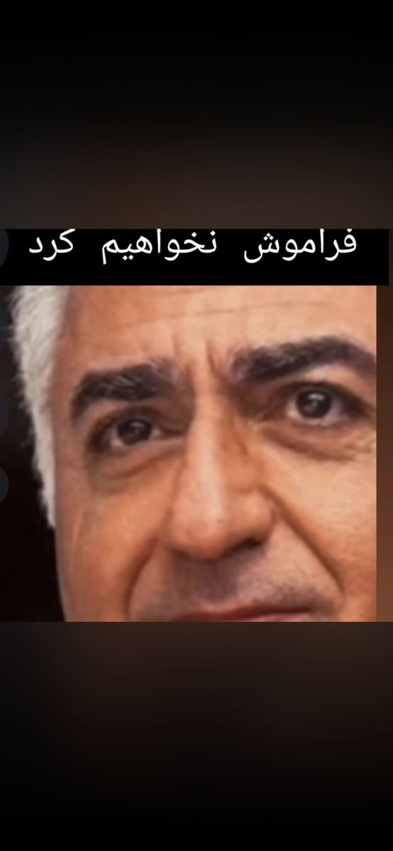 Fay( Fattaneh) tweet media